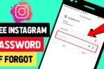 how to see instagram password